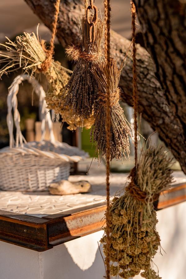 Plage Cachée - Glamping Vrboska Exterior foto
